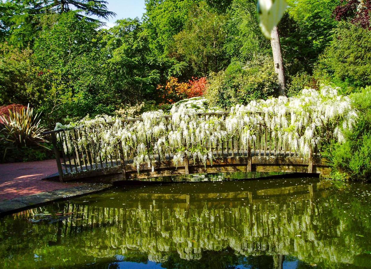 Pinetum Garden Cottages St Austell Zewnętrze zdjęcie