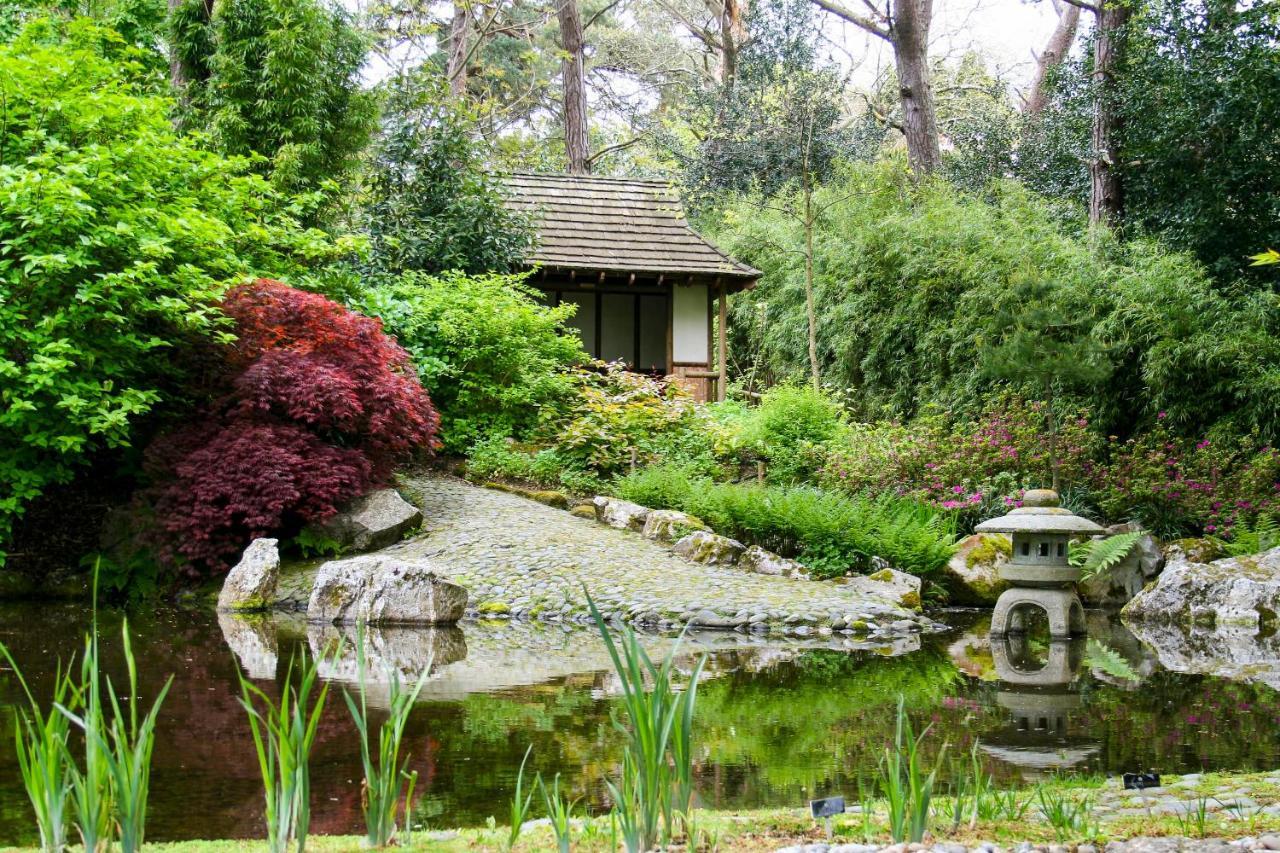 Pinetum Garden Cottages St Austell Zewnętrze zdjęcie